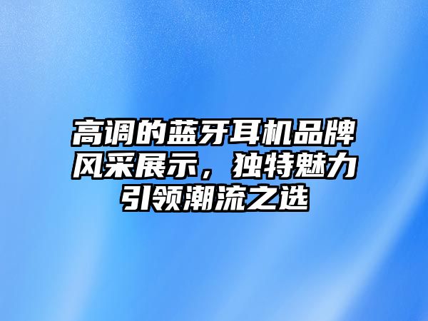高調的藍牙耳機品牌風采展示，獨特魅力引領潮流之選